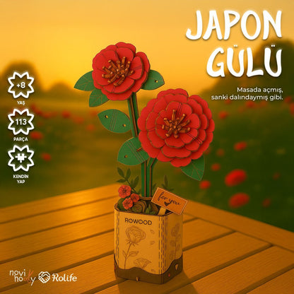 Japon Gülü dekoratif minyatür çiçek aranjmanı – zarif Japon gülü, yeşil yapraklar ve rustik saksı ile ev dekoru -1